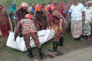 Image description