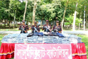 Image description